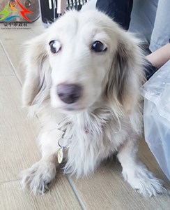 11412220011收-棄臘