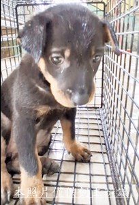 11412270008收-美容