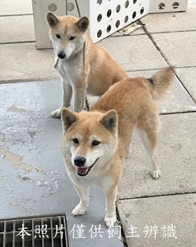 11412270014-15收棄