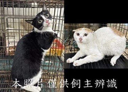 11412290002-3收-tile