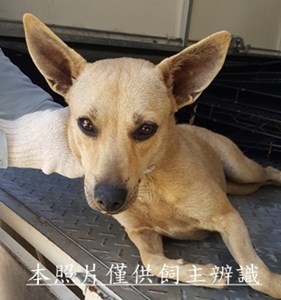 11412290004收-F39-1