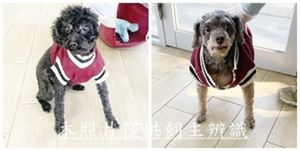 11412300016-17收棄