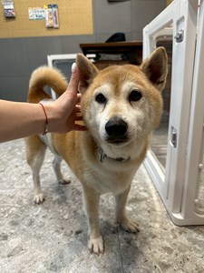 1767579464024.jpg (1)