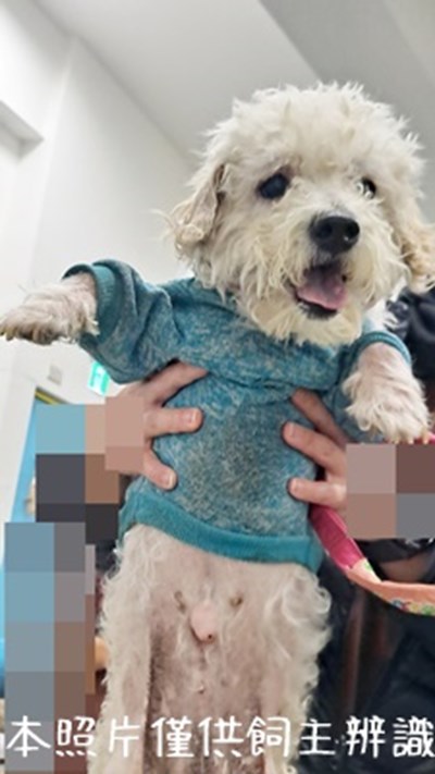 11501066005_3F10動保