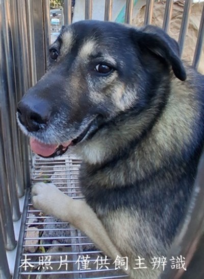 11501080013收棄-元25