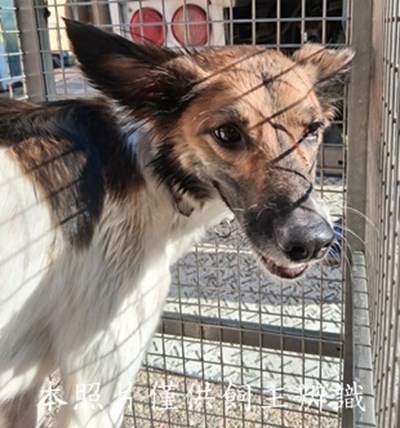 11501080014收-元26