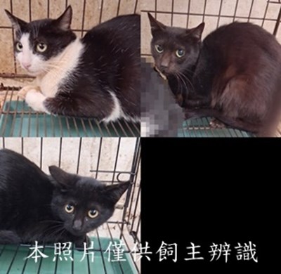 11501090005-7收-tile