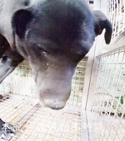 11501090008收-H(重拍)