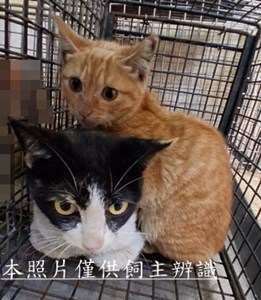 11501130021-22收-72