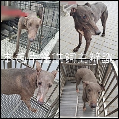 11501166011-14動保案件