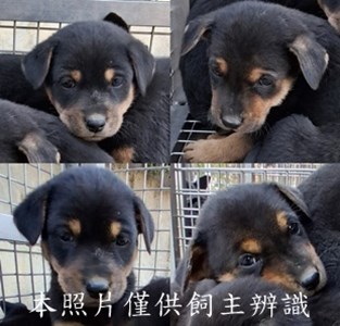 11501210004-7收-tile