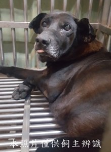 11501210009-1收-安2