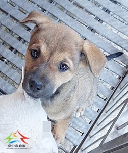 11412100026收-幼18