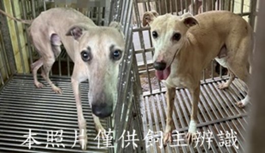 11501260001-2收-tile