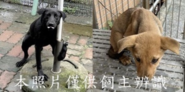 11501260003-4收-tile