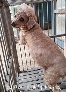 11501260011收-幼26