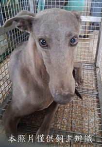 11501260005收-F41-4