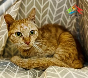 11501190001開-5 (2)