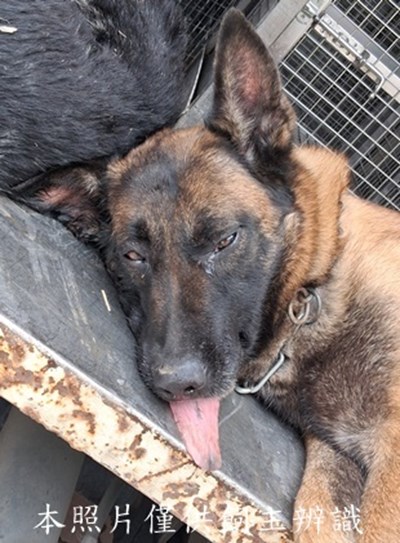 11502020008收-F38-4