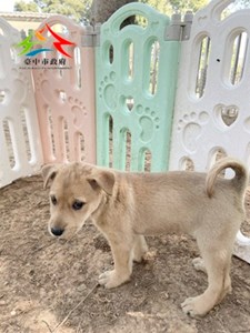 11501216008金生 (2)