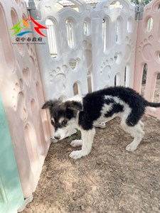 11501160008金生 (1)