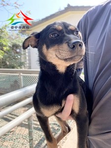 11412300007金生 (2)