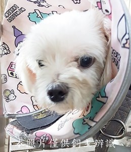 11502030008收-F39-5