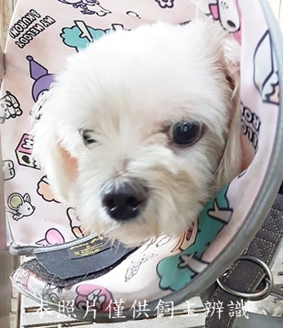 11502030008收-F39-5