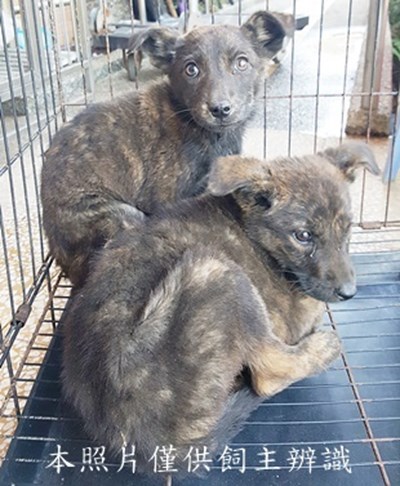 11502030009-10收-幼20