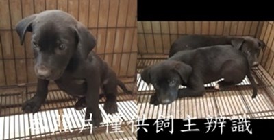 11502040005-7收-tile