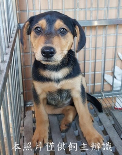 11502040009收-幼23