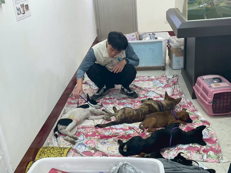 LINE_ALBUM_第二批工作照_260205_2