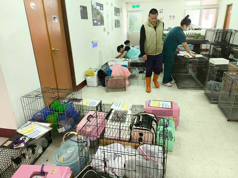 LINE_ALBUM_第二批工作照_260205_1