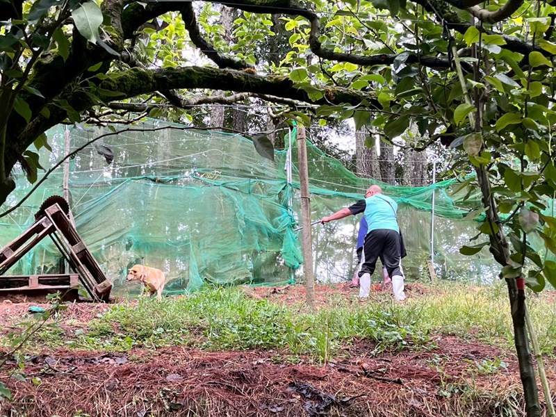 LINE_ALBUM_第ㄧ批工作照_260205_3