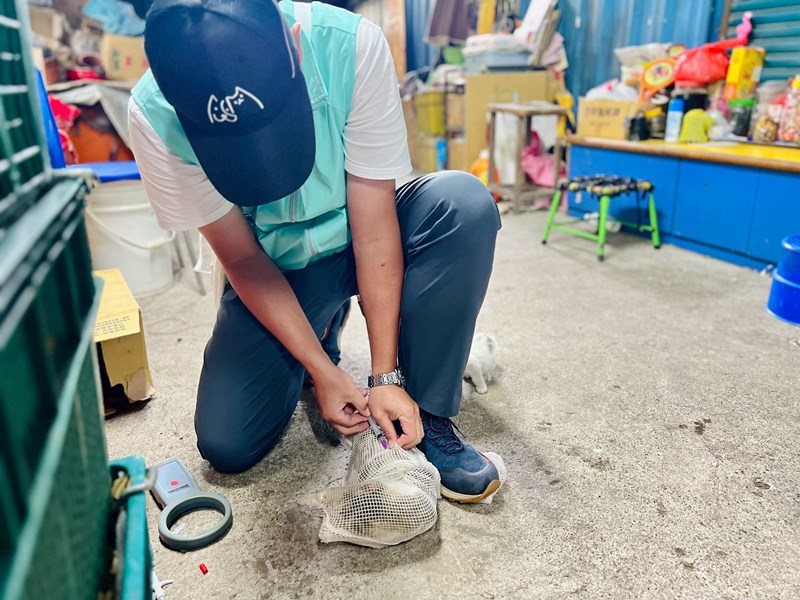 LINE_ALBUM_第ㄧ批工作照_260205_11