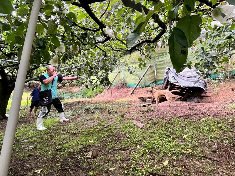 LINE_ALBUM_第ㄧ批工作照_260205_8