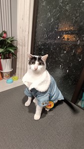 IMG20250203010031.jpg