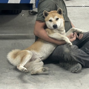 Screenshot 2026-02-11 152019.png