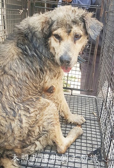 11502090004收-元20