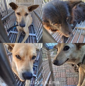 11502100007-10收棄