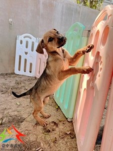 11501100003  永信 (5)