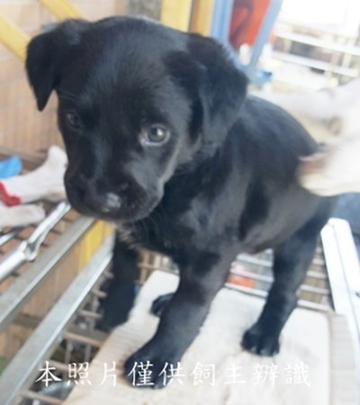 11502120003收-幼13