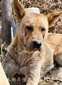 11502160004收-元19