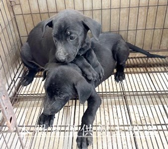 11502200006-7收幼19