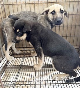 11502200008-9收幼20