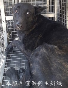 11502230002收-元19