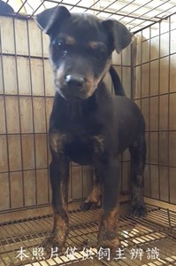 11502230003收-幼16