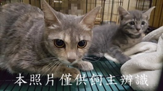 11502240012-13收-53