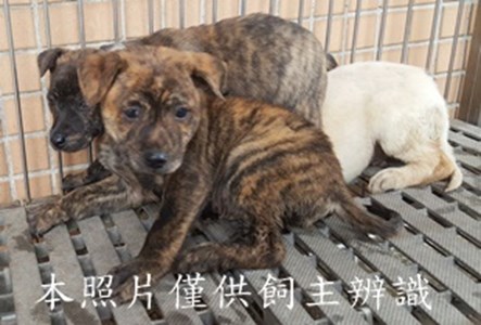 11502250005-7收-幼27