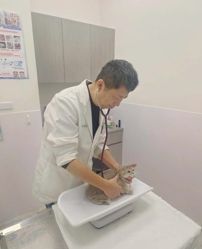 獸醫師守護毛孩不停歇